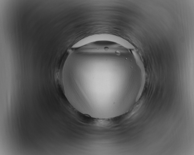 X0000094810141200712071233