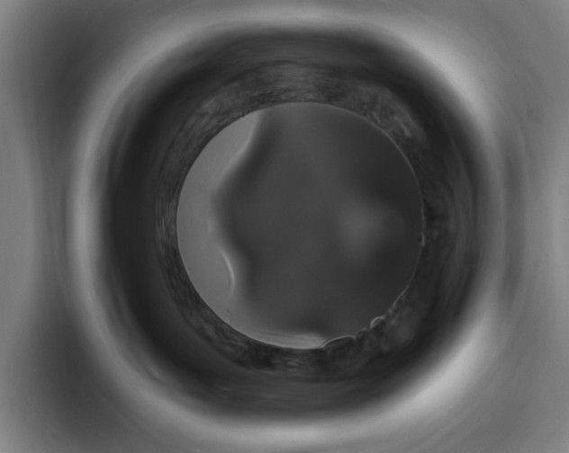 X0000094810143200712071233