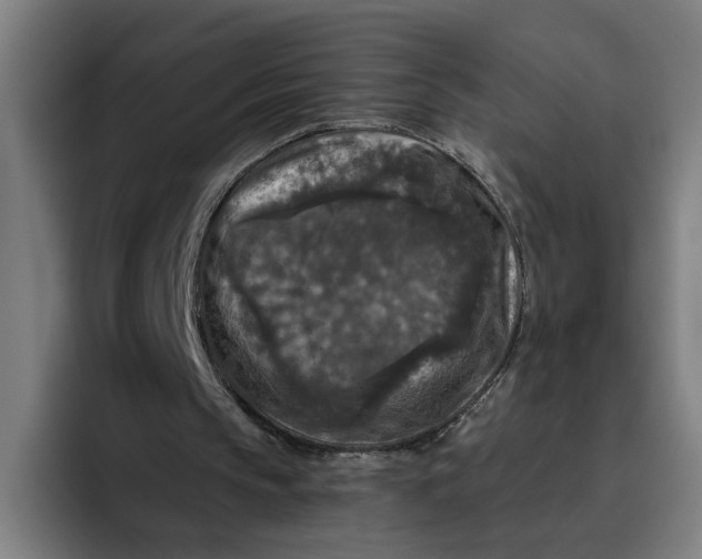 X0000094810145200712071232