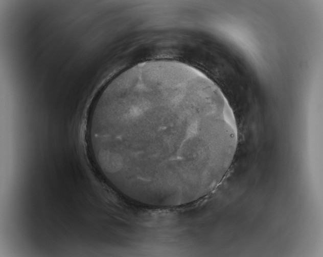 X0000094810146200712071232