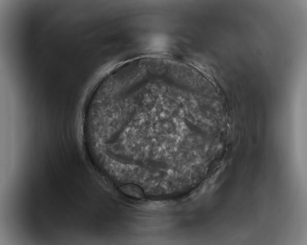 X0000094810149200712071232