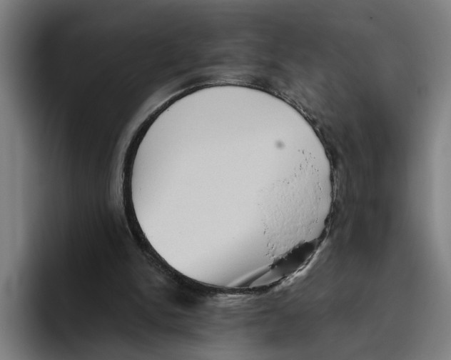 X0000094810150200712071232