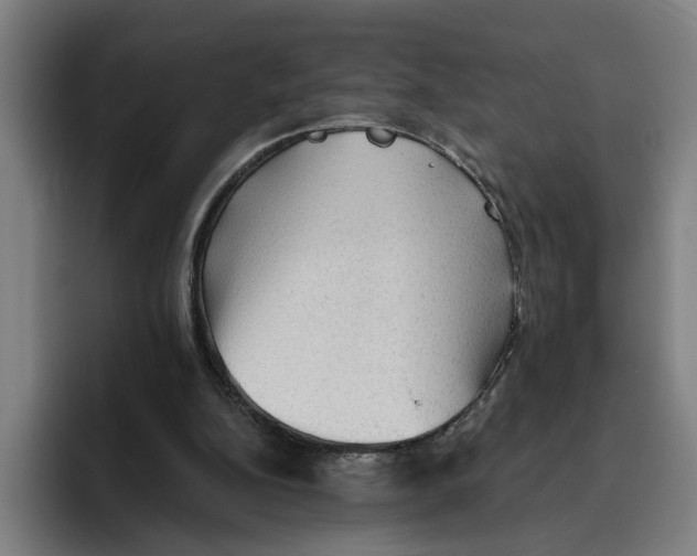 X0000094810152200712071232