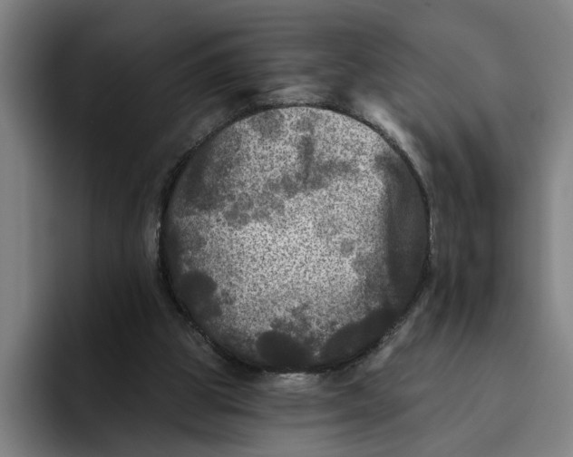 X0000094810153200712071232