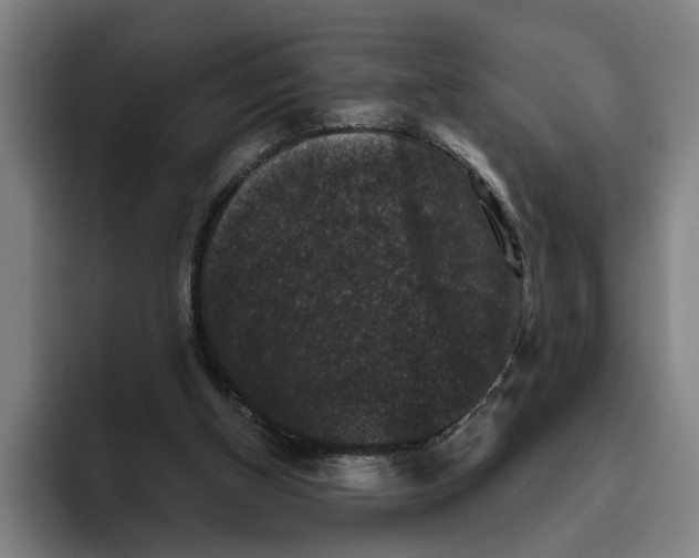 X0000094810154200712071232