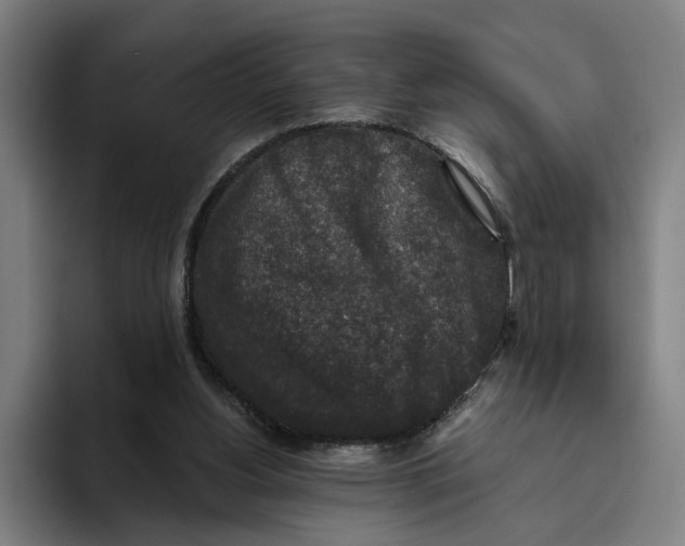 X0000094810156200712071232