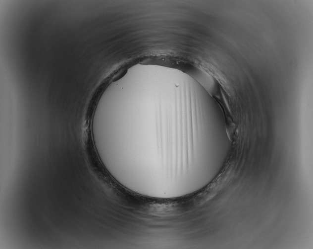 X0000094810160200712071233