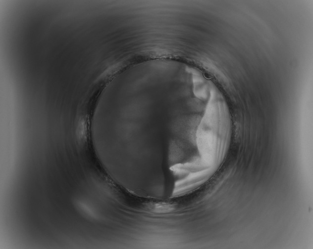 X0000094810165200712071233