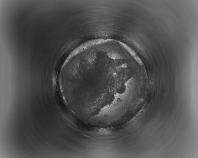 X0000094810166200712071233