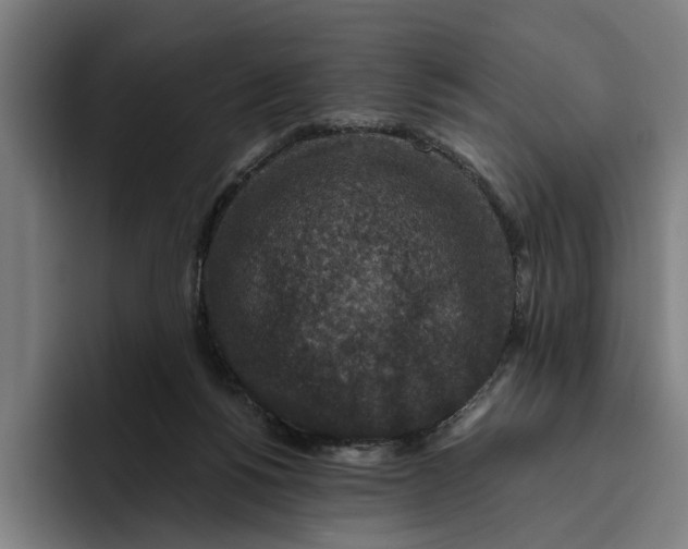 X0000094810168200712071233