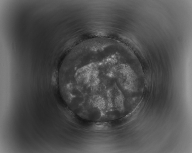 X0000094810175200712071233