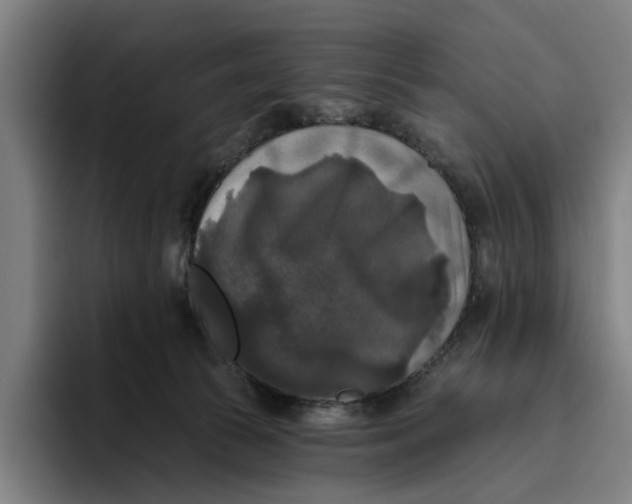 X0000094810177200712071233