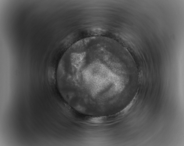 X0000094810178200712071233