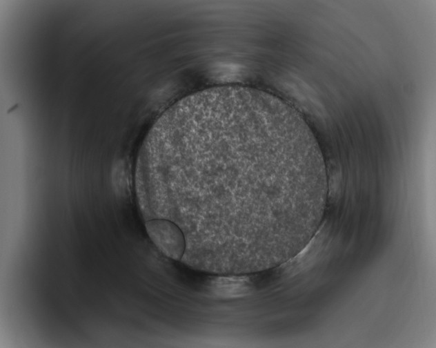 X0000094810179200712071233