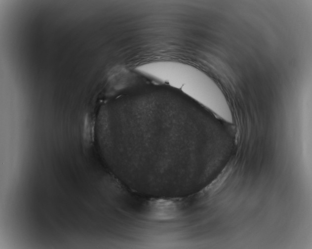 X0000094810180200712071233