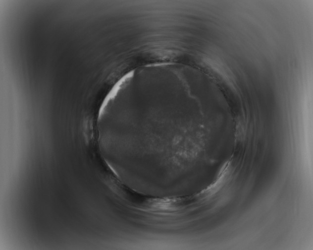 X0000094810182200712071233