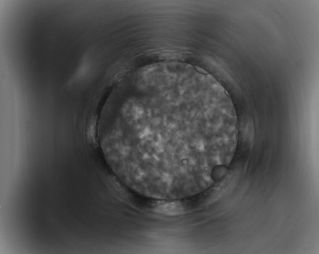 X0000094810185200712071233