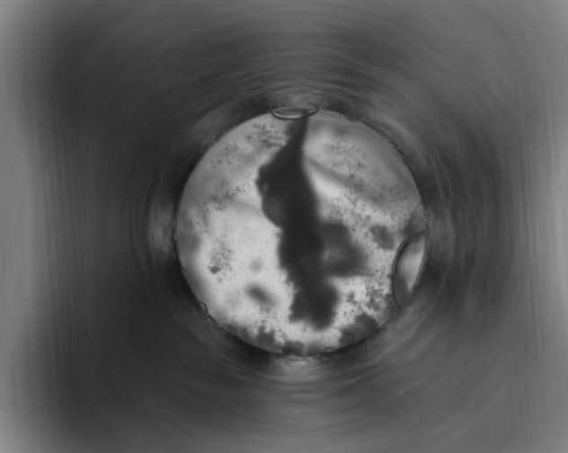 X0000094810189200712071233