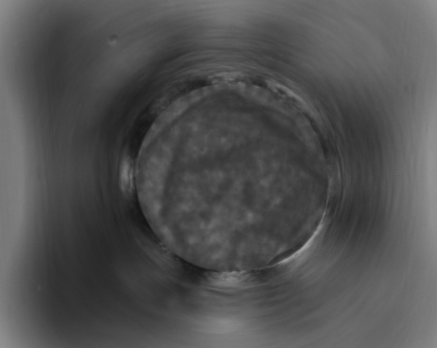 X0000094810191200712071233