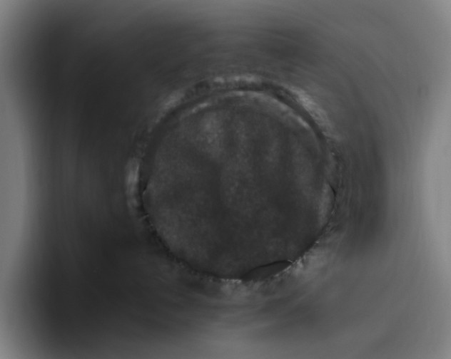 X0000094810192200712071233