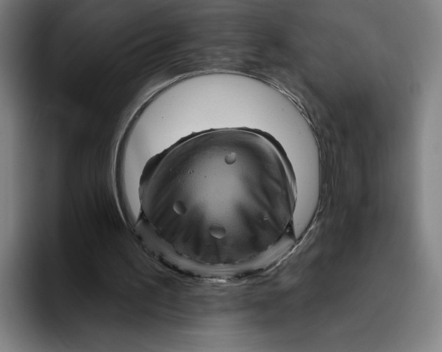 X0000094810195200712071232