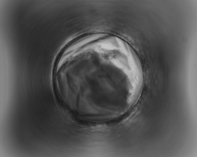 X0000094810196200712071232