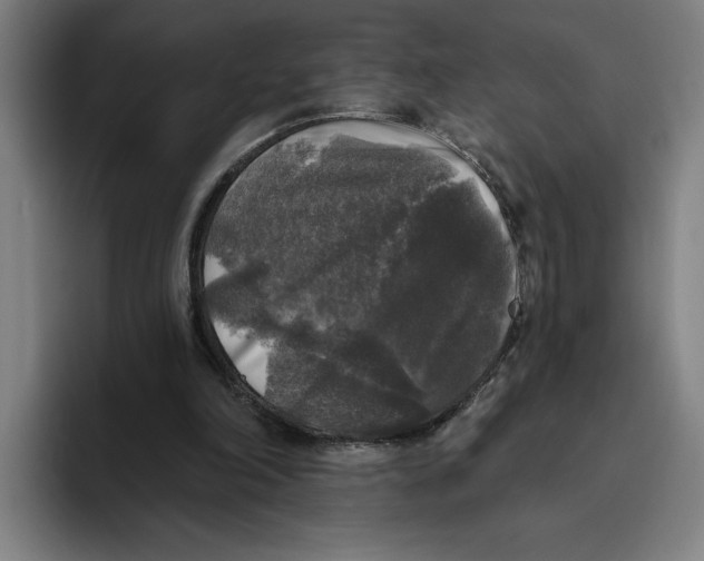 X0000094810198200712071232