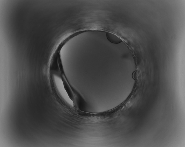 X0000094810200200712071232