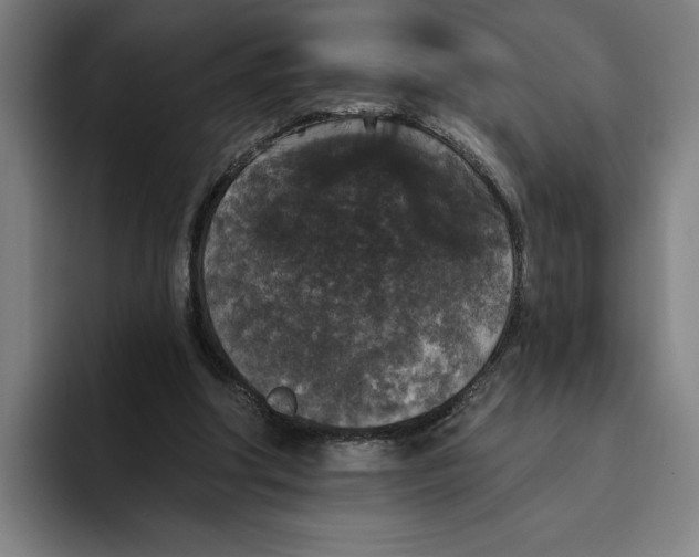 X0000094810202200712071232