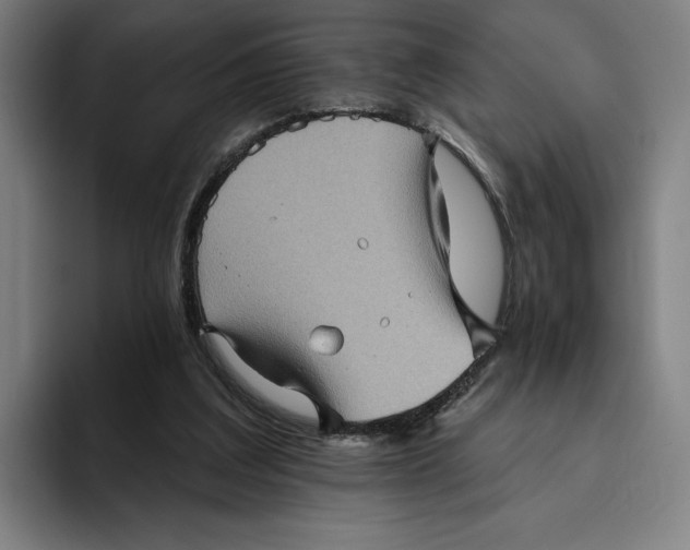 X0000094810203200712071232