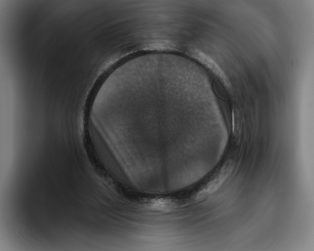 X0000094810204200712071232