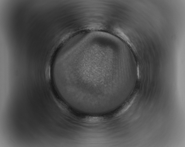 X0000094810205200712071232