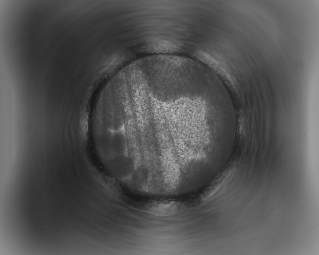 X0000094810206200712071232