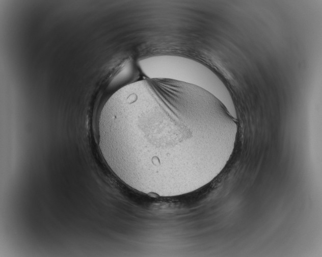 X0000094810211200712071232