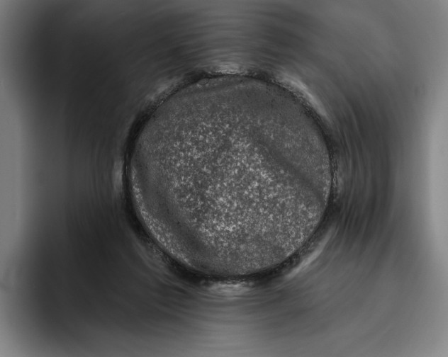 X0000094810213200712071232