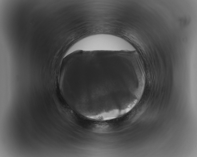 X0000094810214200712071232