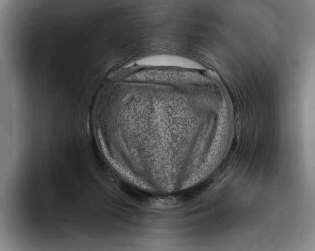 X0000094810215200712071232