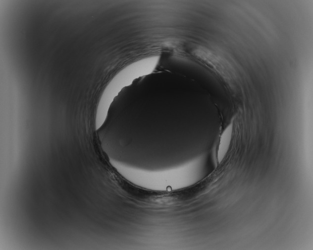 X0000094810219200712071232