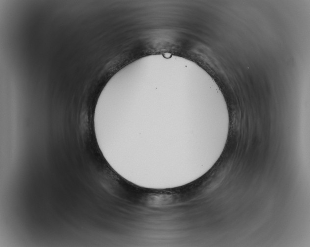 X0000094810220200712071232