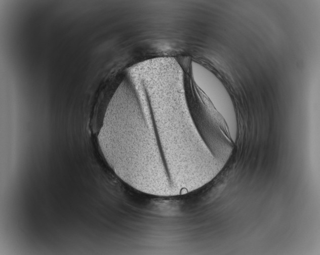 X0000094810221200712071232