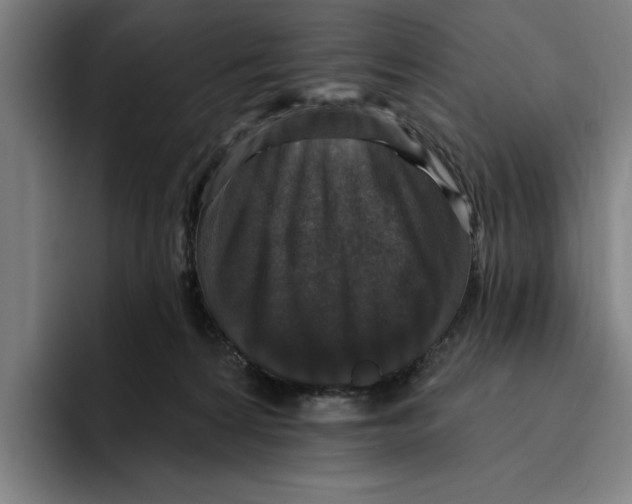 X0000094810224200712071232