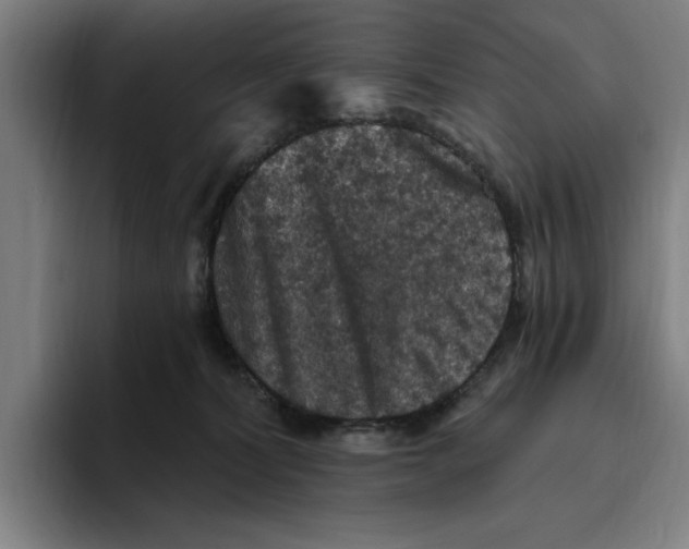 X0000094810228200712071232