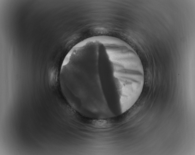 X0000094810230200712071232