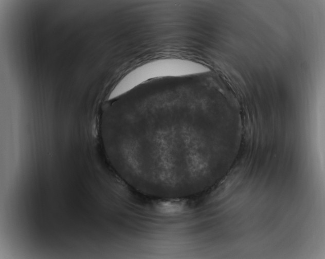 X0000094810232200712071232