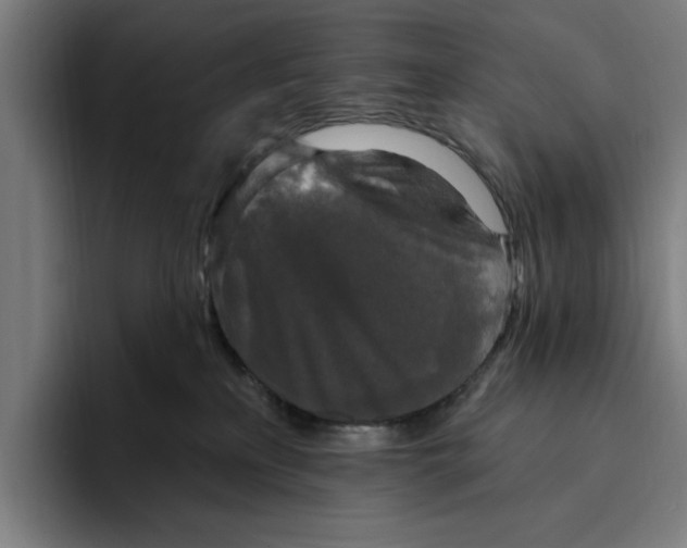 X0000094810233200712071232