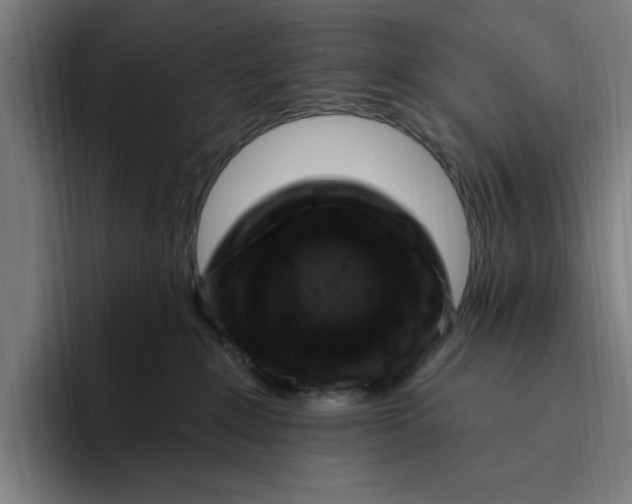 X0000094810235200712071232