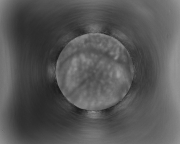 X0000094810240200712071232