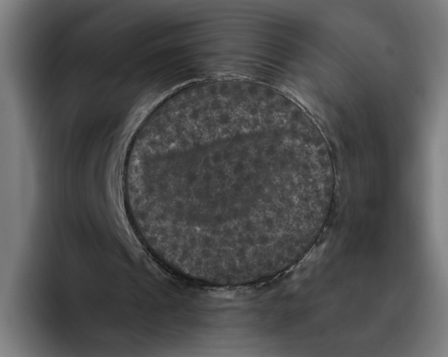 X0000094810241200712071231