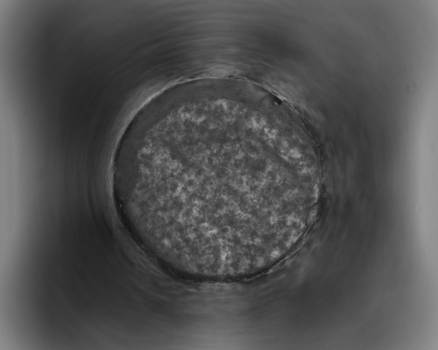 X0000094810242200712071231