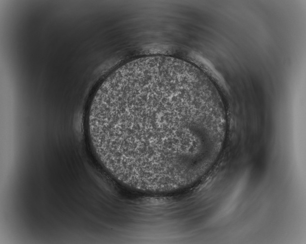 X0000094810250200712071231